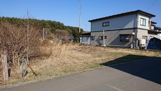 DSC_0118.JPG