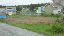 201006041531000.jpg