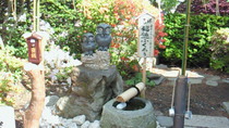 201006050832001.jpg