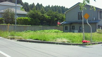 201006071025000.jpg