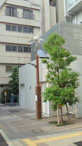 201006171707001.jpg
