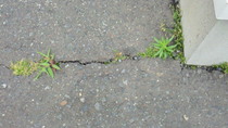 201007020731001.jpg