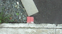 201007060818000.jpg