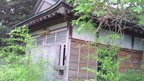 201007310549000.jpg