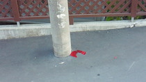 201008060557000.jpg