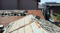 201008071005000.jpg