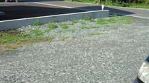 201008180758000.jpg