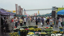 201008290613000.jpg