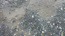 201009070658000.jpg