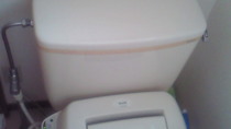 201009070658001.jpg