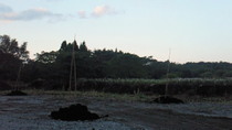 201010080559000.jpg