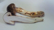 201010091738000.jpg