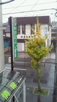 201011090934000.jpg