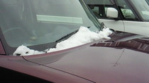 201011160948000.jpg