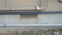 201011251523000.jpg