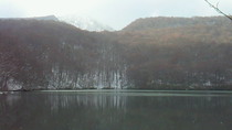 201012101338000.jpg