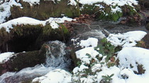 201012101411001.jpg