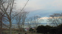 201012120648000.jpg
