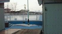 201102081210000.jpg