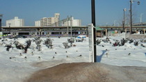 201102220929000.jpg