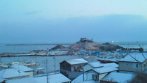 201103120536000.jpg