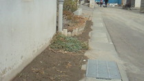 201103151017000.jpg