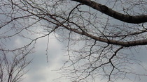 201103301417001.jpg
