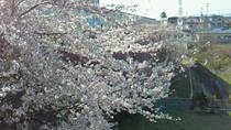 201104250746000.jpg