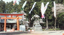 201105051306000.jpg