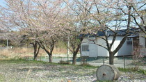 201105060958000.jpg