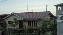 201105230500000.jpg