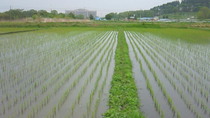 201106041057000.jpg