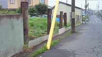 201107080509000.jpg