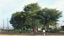 201107230627001.jpg