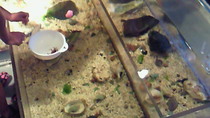 201108101237000.jpg