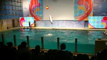 DSC_0013.jpg