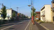 DSC_0100.jpg