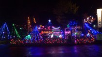 DSC_0164.jpg